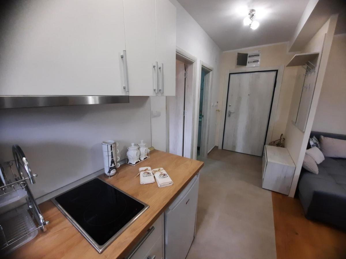 Apartman Koricanac Vrnjacka Banja Ngoại thất bức ảnh