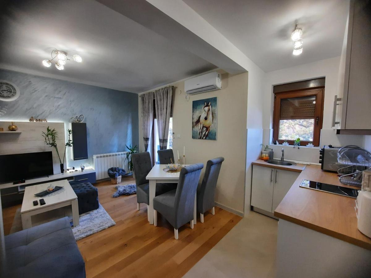 Apartman Koricanac Vrnjacka Banja Ngoại thất bức ảnh